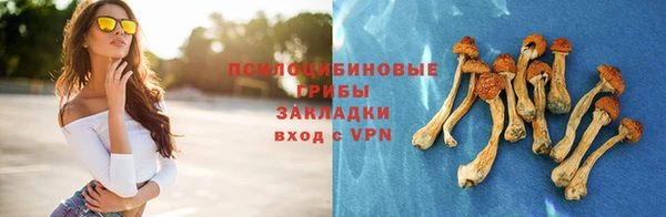 ГАЛЛЮЦИНОГЕННЫЕ ГРИБЫ Белокуриха