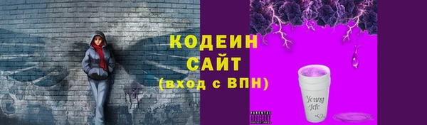 ГАЛЛЮЦИНОГЕННЫЕ ГРИБЫ Белокуриха