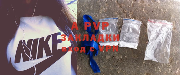 ГАЛЛЮЦИНОГЕННЫЕ ГРИБЫ Белокуриха
