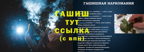 ГАЛЛЮЦИНОГЕННЫЕ ГРИБЫ Белокуриха