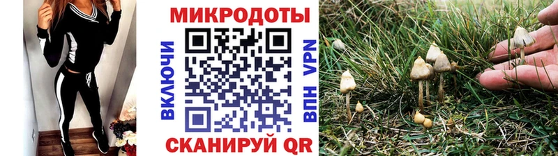 blacksprut как зайти  Володарск  Галлюциногенные грибы Psilocybe 